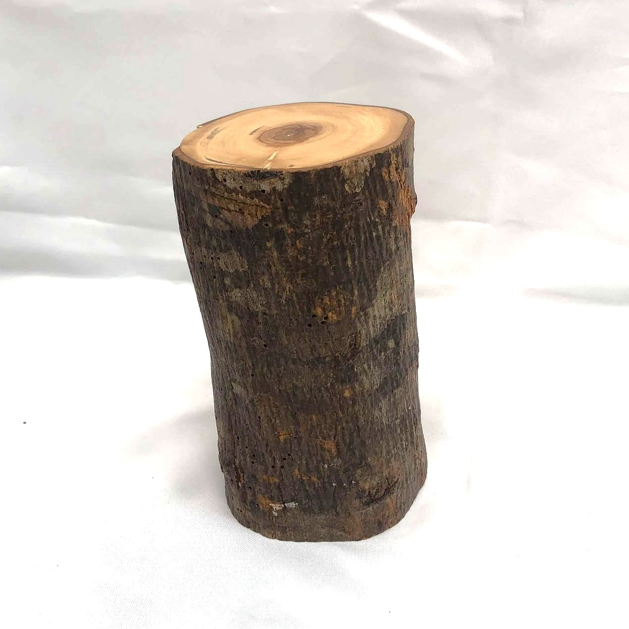 Olive Wood Jesus Face in Trunk